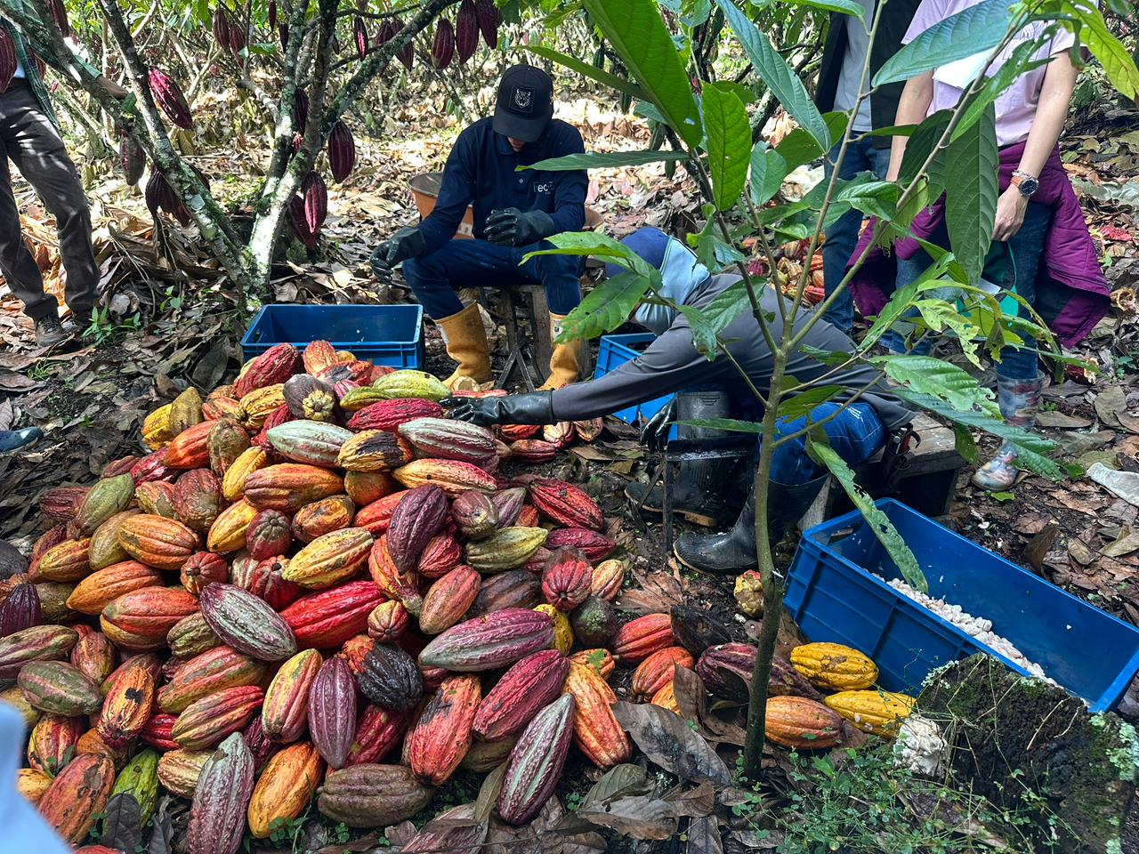Comunidades campesinas